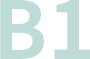 b1